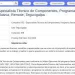 Consultant Technique Composantes – Programme Éducation Inclusive