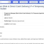 Manager Programme – Gestion des Risques et Distribution de Cash
