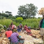 Togo : 115 coopératives soutenues par un programme GIZ