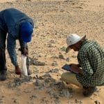 Une société russe propose des programmes géologiques au Sahel
