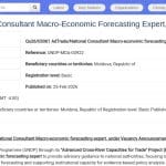 Consultant National Expert en Prévisions Macroéconomiques