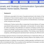 Consultant expert en communication diplomatique et stratégique