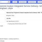 Analyste Programme – Services Intégrés (Benghazi, Libye)