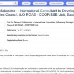 Consultant international pour plan stratégique de conseil coopératif