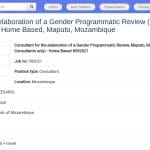 Consultant International – Revue Programmatique Genre (UNICEF Mozambique)
