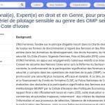 Consultant(e) Expert(e) Droit et Genre pour Réforme OMP Police Nationale