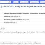 Consultant National en Coordination et Mise en Œuvre de Programme