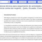 Consultant(e) Technique – Lutte contre les Violences Faites aux Femmes