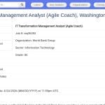 Analyste en Transformation IT et Coach Agile