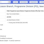 Chef de la branche liaison programme – Division Programme (New York)