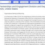 Directeur des Partenariats Stratégiques et Engagement – ONU