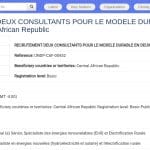 Consultants en énergies renouvelables et électrification rurale – RCA