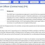 Chef de bureau politique senior pour l&rsquo;Asie centrale (OSCE)