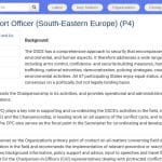 Chef de bureau politique pour l&rsquo;Europe du Sud-Est (OSCE)