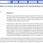 Consultant International – Élaboration du Plan Stratégique Mozambique 2027-2030