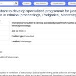 Consultant international : programmes de formation pour professionnels de justice juvénile