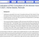 Consultant Évaluation Stratégique ONU Femmes Kenya