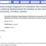 Consultant International en Estimation Budgétaire – Plan Nutrition Guinée