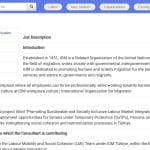 Consultant Formation – Intégration Marché du Travail en Turquie