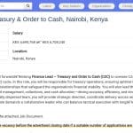 Responsable Financier Trésorerie et Cycle Client (Nairobi)