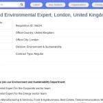 Principal, Environnement & Social – Londres