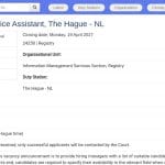 Stagiaire Assistant Support IT – La Haye