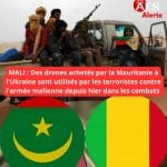 Pourquoi le terrorisme persiste au Mali : les soutiens régionaux