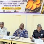 Burkina Faso : acteurs unis pour développer la filière patate douce orange