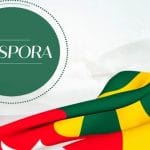 Togo approuve une nouvelle stratégie pour la diaspora