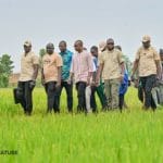 Bama : Ouédraogo rencontre les producteurs de riz
