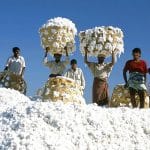 Burkina Faso nationalise la société cotonnière Sofitex