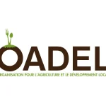 Responsable Vente et Développement de Marché – Filières Agricoles