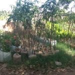 Boulmiougou : le délai de déguerpissement des berges est prolongé