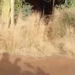 Burkina Faso : 74% du territoire contrôlé par l&rsquo;armée