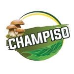 CHAMPISO recrute Agents Commerciaux et Secrétaire Commerciale