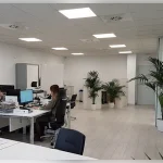 Assistant Fiscaliste – Cabinet de Conseil Stratégique