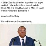 Déclaration malienne sur un appui militaire suscite le scepticisme