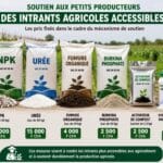 Burkina Faso : prix réduits des intrants agricoles pour les producteurs