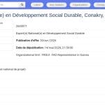 Expert national en développement social durable – Économie bleue