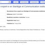 Expert·e en Stratégie et Communication Institutionnelle