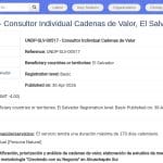 Consultant·e en Chaînes de Valeur – Ahuachapán Sur