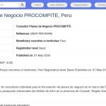 Consultant en Plans d&rsquo;Affaires PROCOMPITE – Pérou