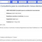 Consultor·e pour la coordination de la table électorale – PNUD Honduras