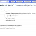 Consultant en conseil aux entreprises (Mersin)