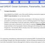 Responsable Pêche Durable – Projet GREAT Ocean Suriname