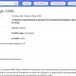 Consultor·a en Datos y Monitoreo de Derechos de la Niñez