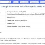 Chargé(e) de Genre et Inclusion en Éducation – UNICEF Tchad