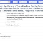 Consultant en budgétisation du Plan d&rsquo;action pour la Garantie européenne pour l&rsquo;enfant