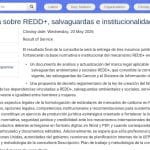 Consultant juridique REDD+ et gouvernance environnementale