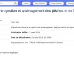 Expert national en gestion des pêches et aquaculture